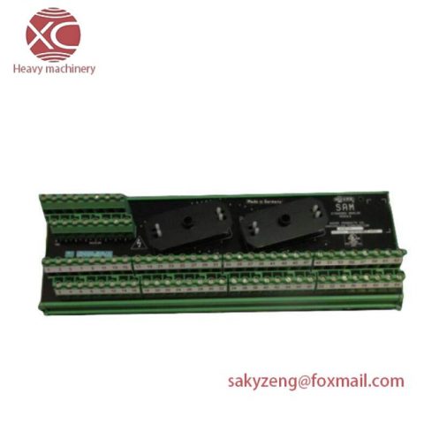 Moore 16169-1-07 SAM: Industrial Analog Module for Precision Control