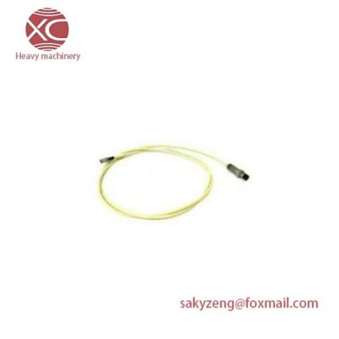 BENTLY NEVADA 21508-02-12-10-02: Rapid Delivery Control Module